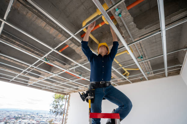 Best Plumbing Inspection Services  in Nroe City, MO