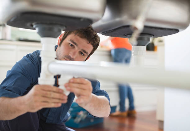 Best Clogged Drain Plumber  in Nroe City, MO