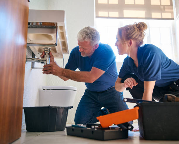 Best Plumbing Services Near Me  in Nroe City, MO